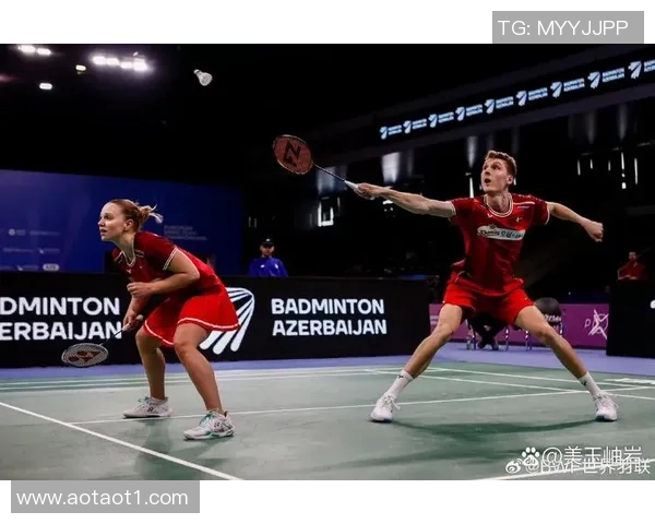 法国与丹麦小组赛精彩对决回顾与分析